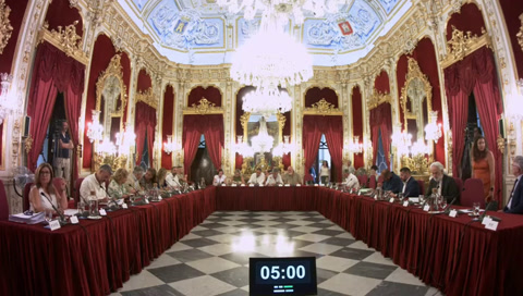 Pleno ordinario 16 julio 2025