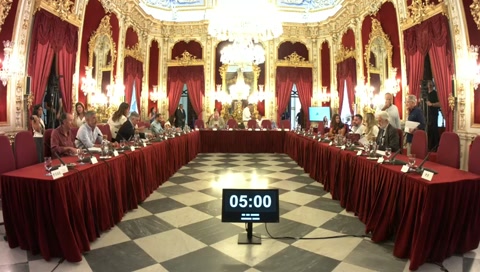 Pleno ordinario 15 julio de 2026