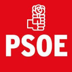 Grupo Socialista